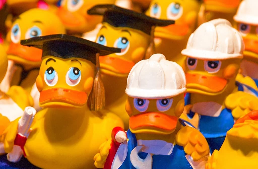 Illustration de l'événement : Les Estivales | Course de petits canards