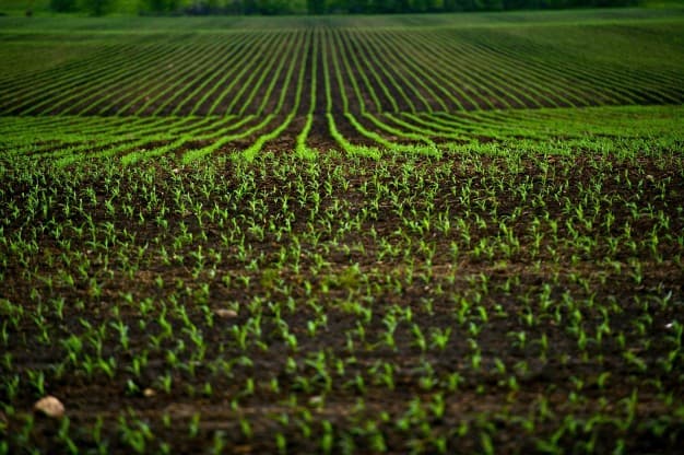 Illustration de l'événement : Journée de l'agriculture