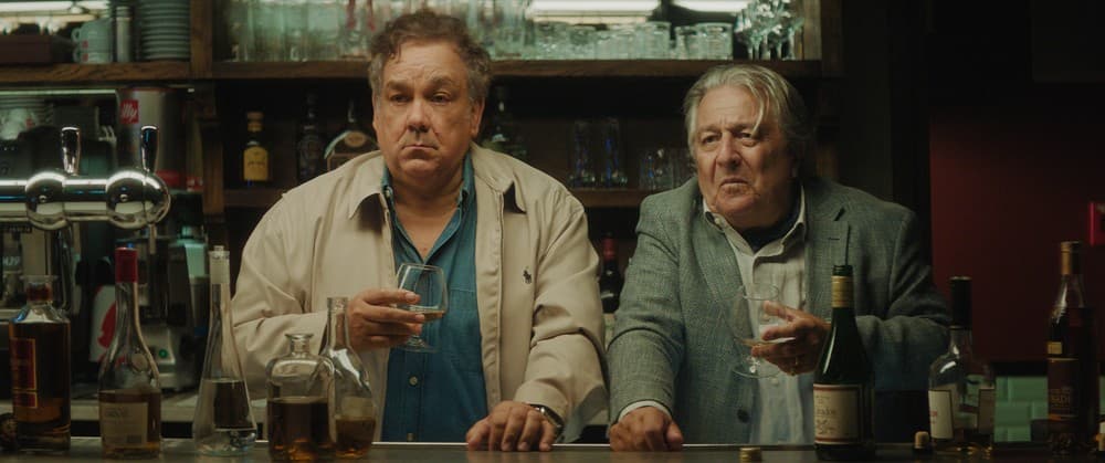 Illustration de l'événement : Cinéma : Cocorico 2