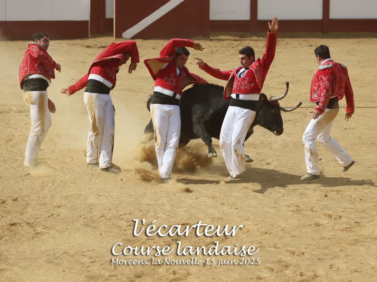 Illustration de l'événement : Estivale en Pays Morcenais, "Les arènes en fêtes ! "
