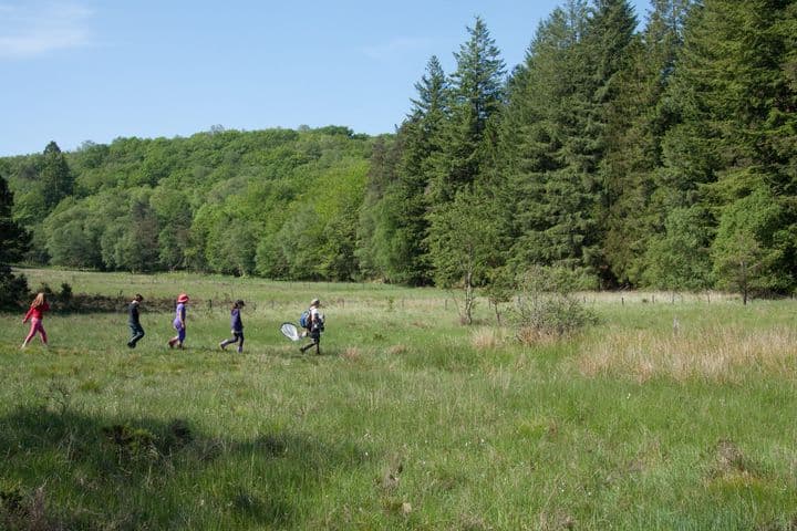Illustration de l'événement : Tourbière des Dauges : promenons-nous dans les bois