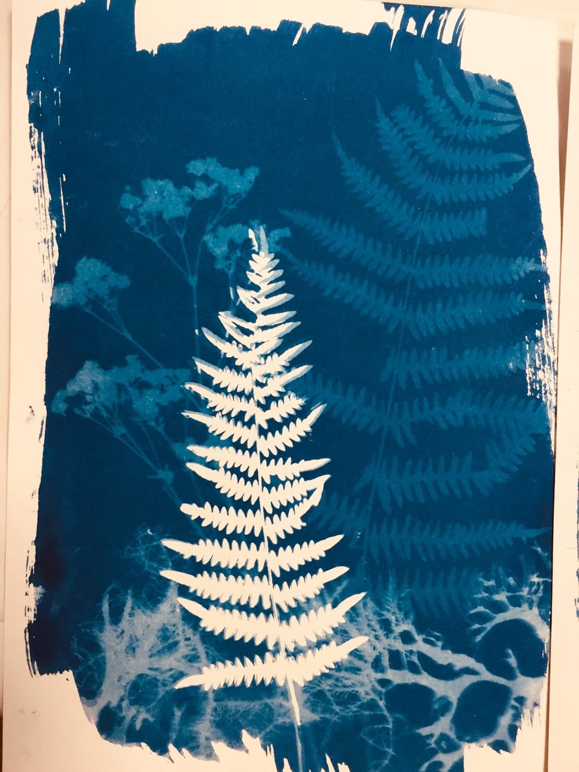Illustration de l'événement : Atelier cyanotype sur papier