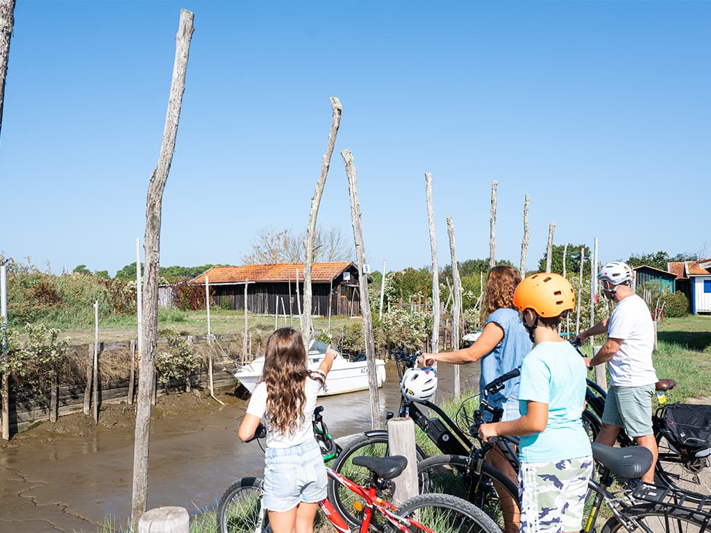 Illustration de l'événement : De port en port  : le combiné canoë cyclo