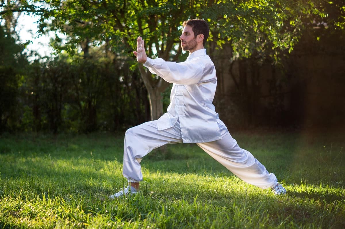 Illustration de l'événement : Stage d'été de Qi Gong