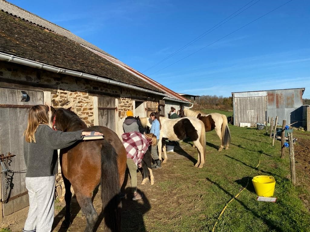 Illustration de l'événement : Été actif - visite active de ferme