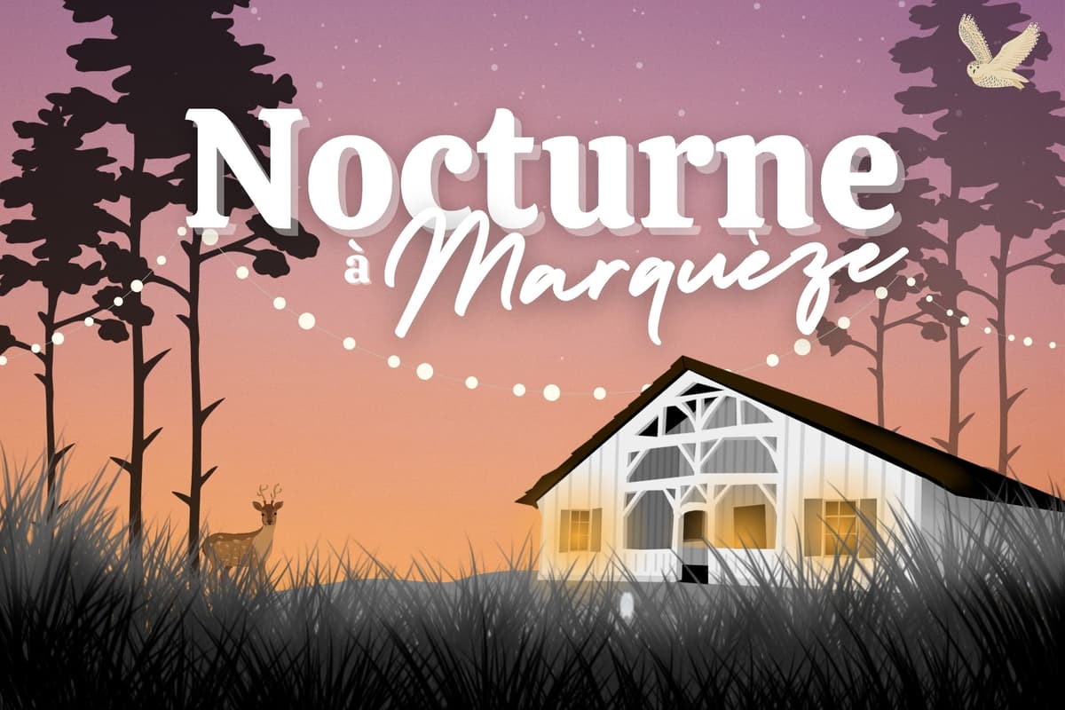 Illustration de l'événement : Nocturne à Marquèze