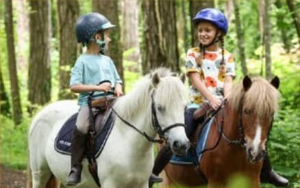 Illustration de l'événement : Stages d'été à poney avec Les Paladins de Saint-Agnan
