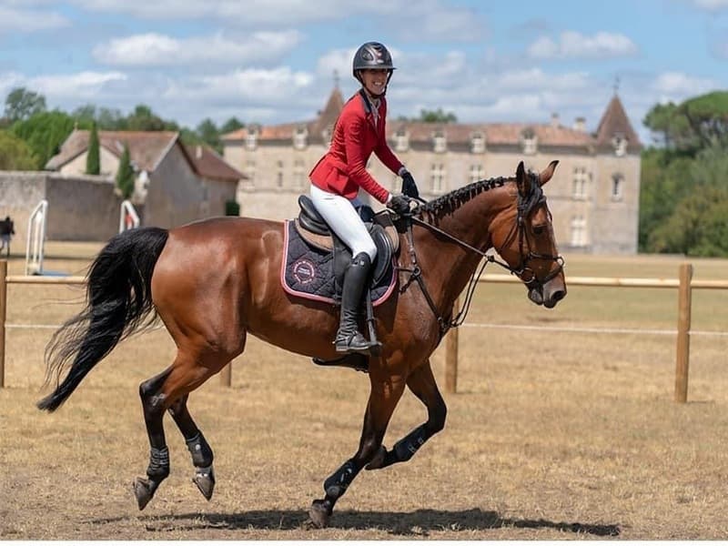 Illustration de l'événement : Jumping National Pro de Cazeneuve