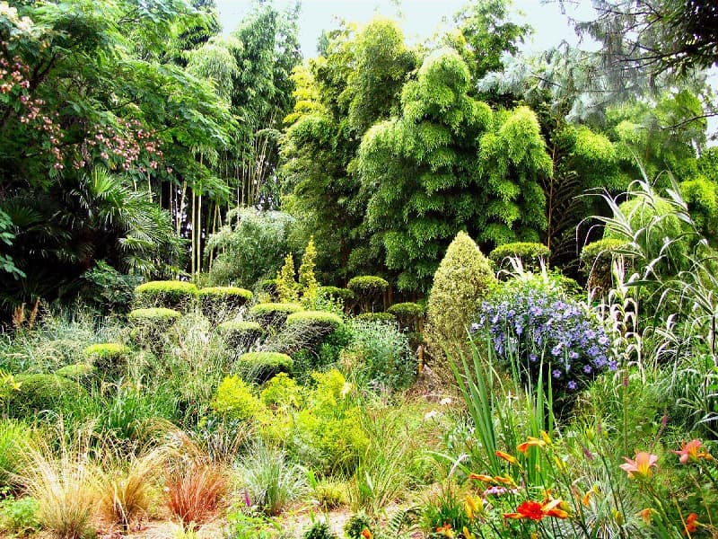 Illustration de l'événement : Rendez-vous aux jardins | Plan Buisson