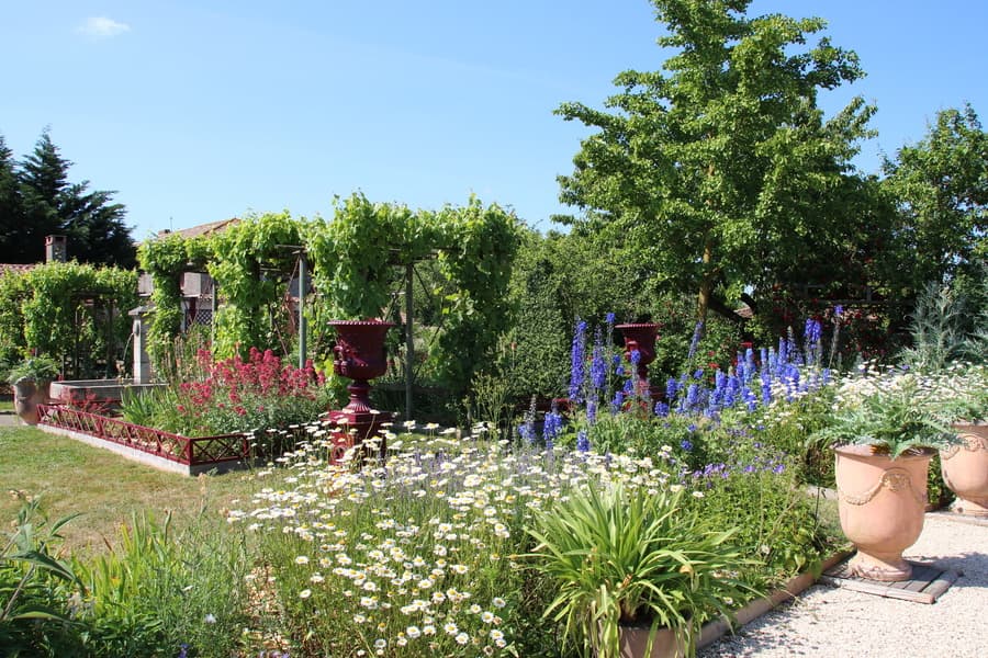 Illustration de l'événement : Rendez-vous aux Jardins - Jardin de Riparfonds