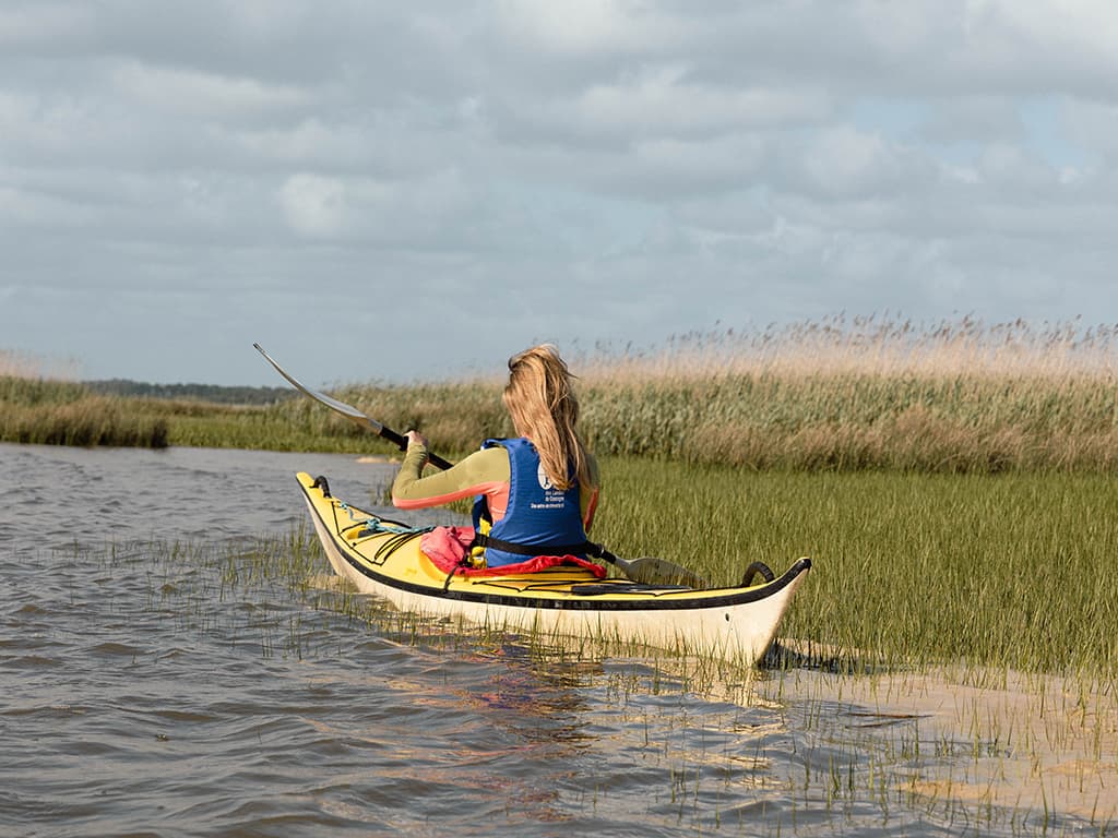 Illustration de l'événement : Balade naturaliste en canoë-kayak