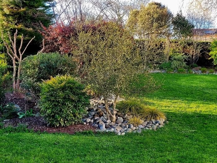 Illustration de l'événement : Jardin de LMG - Rendez-vous aux jardins