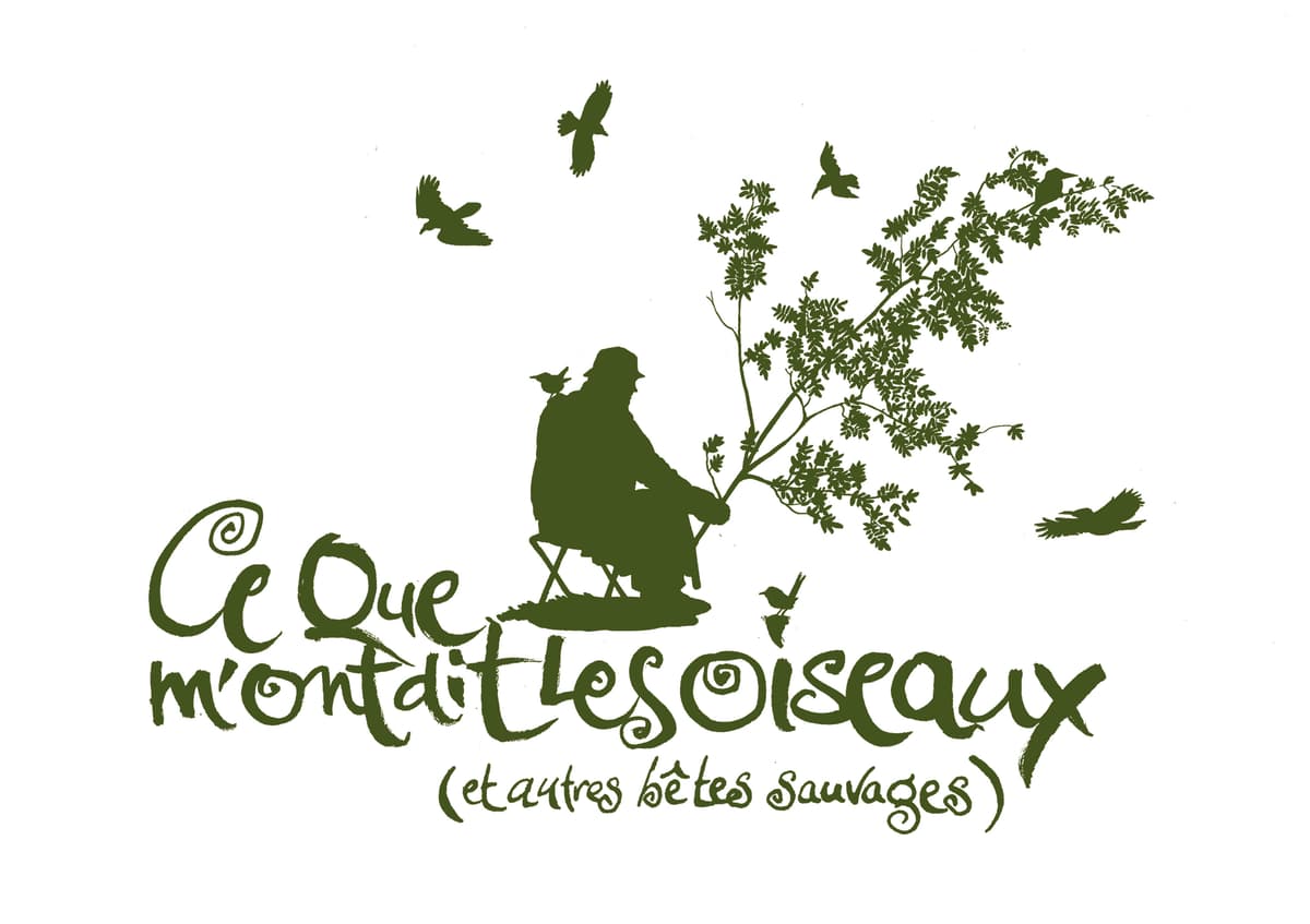 Illustration de l'événement : Spectacle "Ce que m'ont dit les oiseaux" par le Pêcheur d'oiseaux