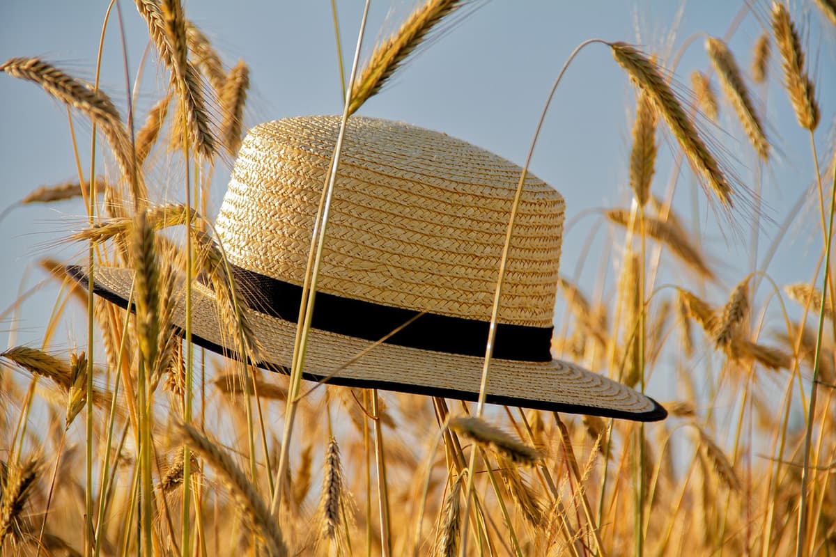 Illustration de l'événement : Stage chapeau