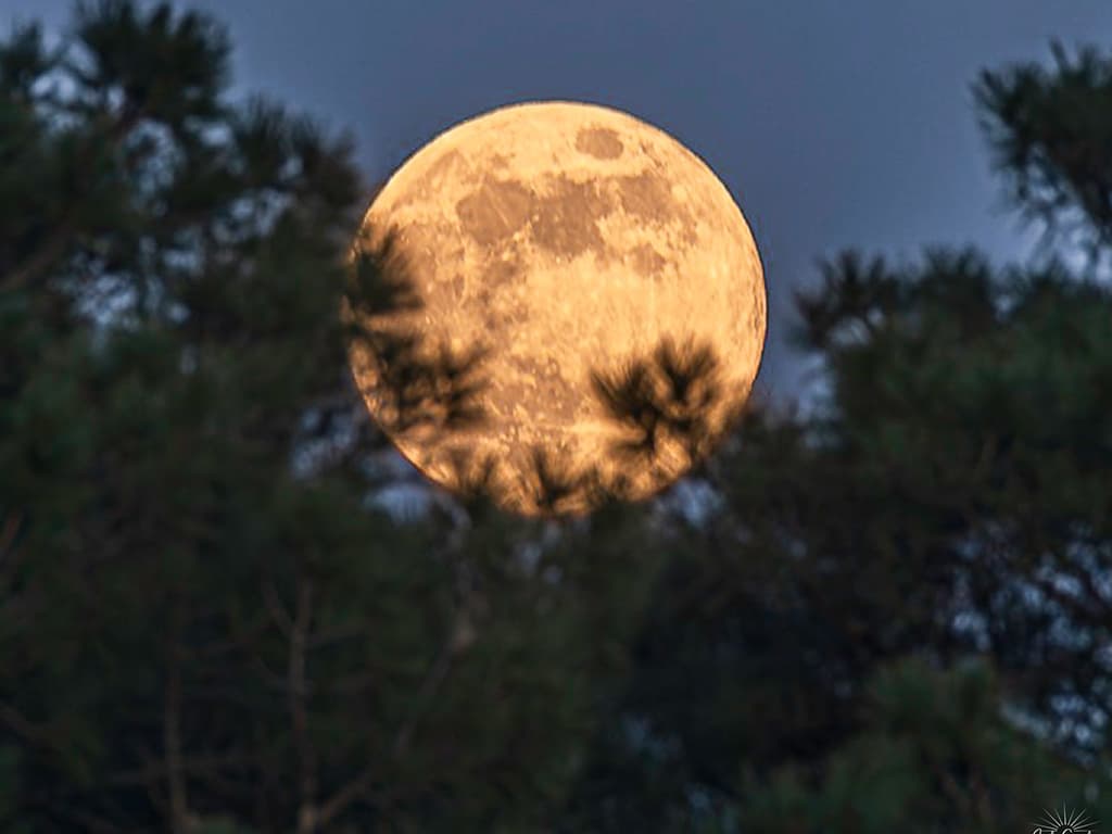 Illustration de l'événement : Observation du ciel nocturne