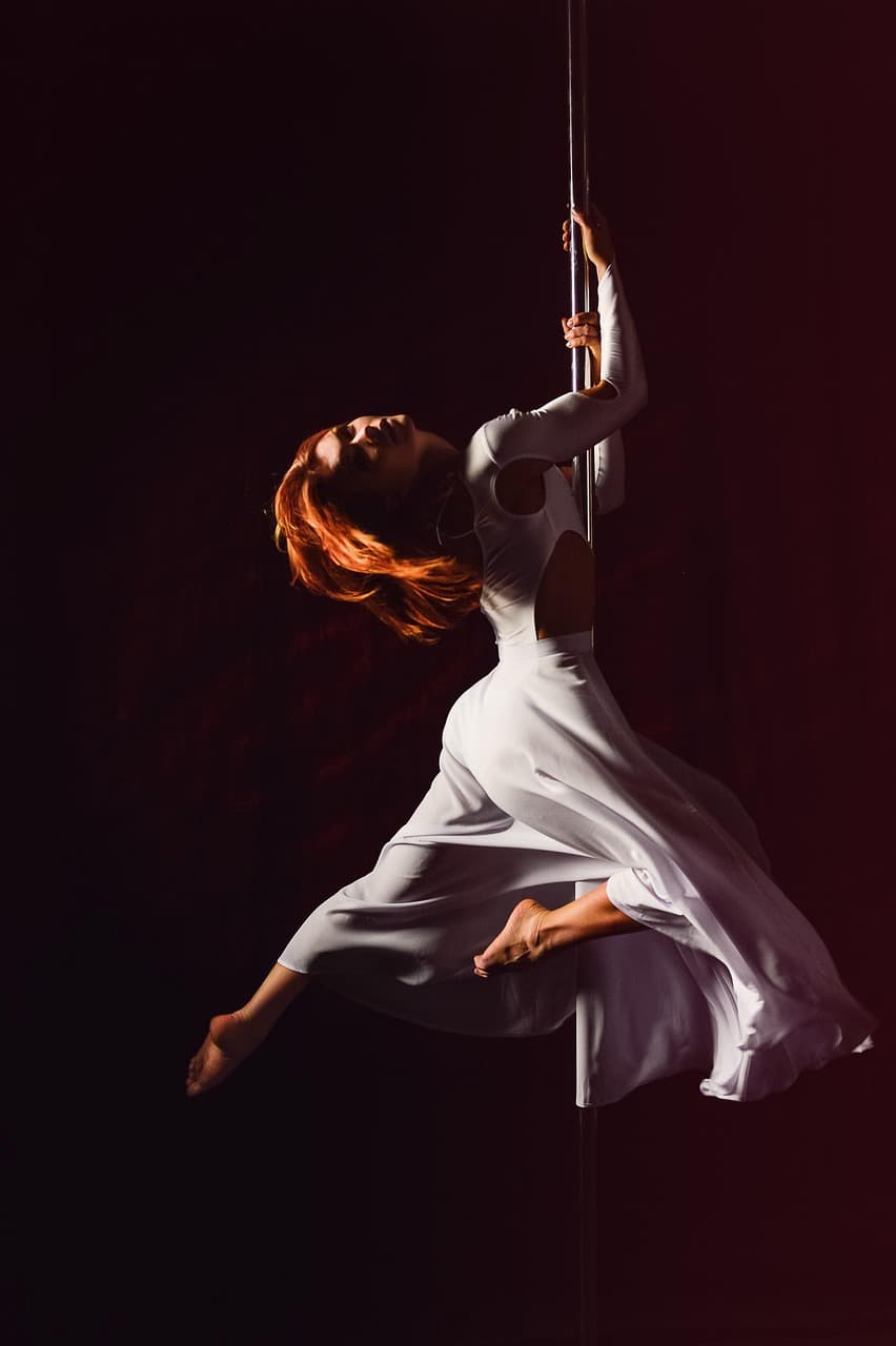 Illustration de l'événement : Domaines du Moulin Authier : Show et découverte Pôle Dance