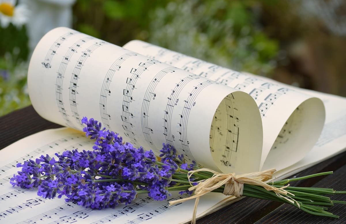 Illustration de l'événement : Concert au marché fermier: chansons françaises
