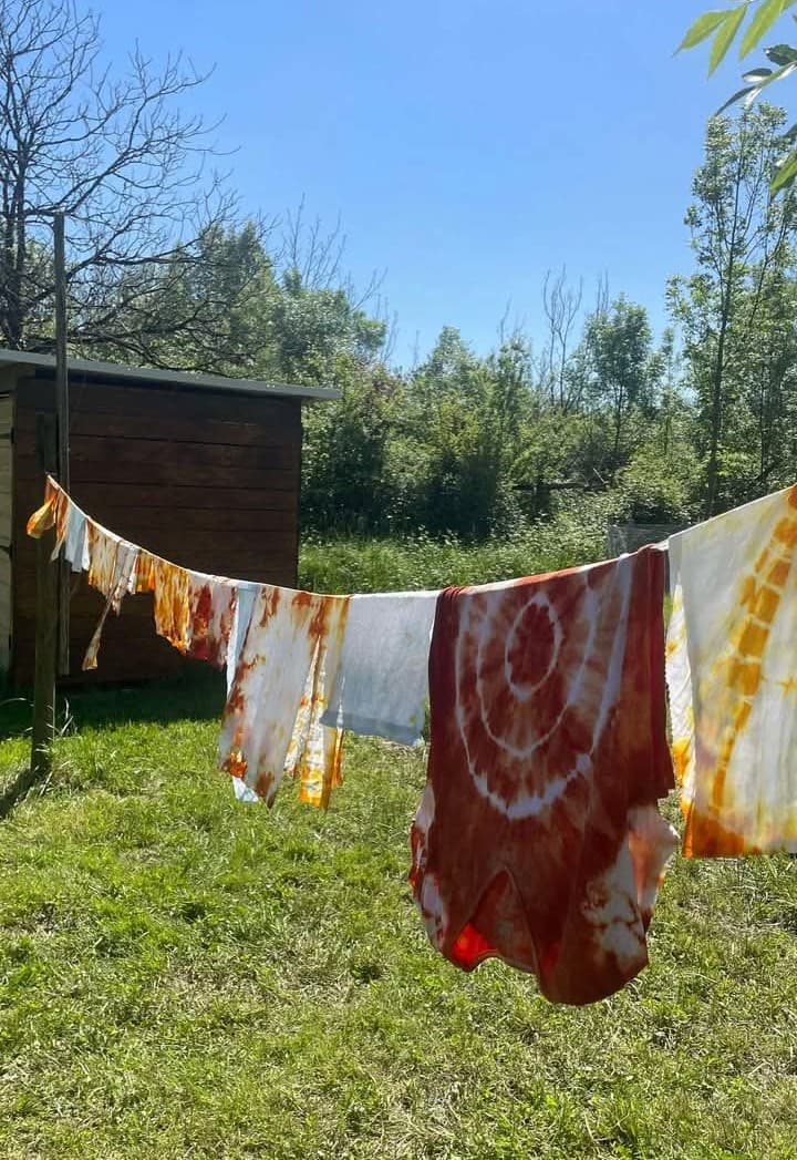 Illustration de l'événement : Atelier des p'tits curieux : "Immersion à la ferme : Une palette de couleur pour les lapins et cochons d'Inde!!"