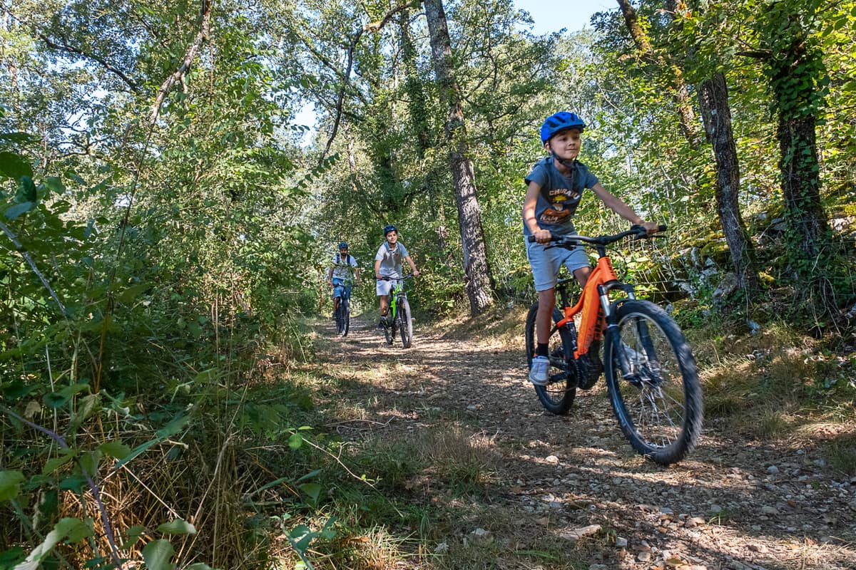 Illustration de l'événement : Été actif - VTT électrique