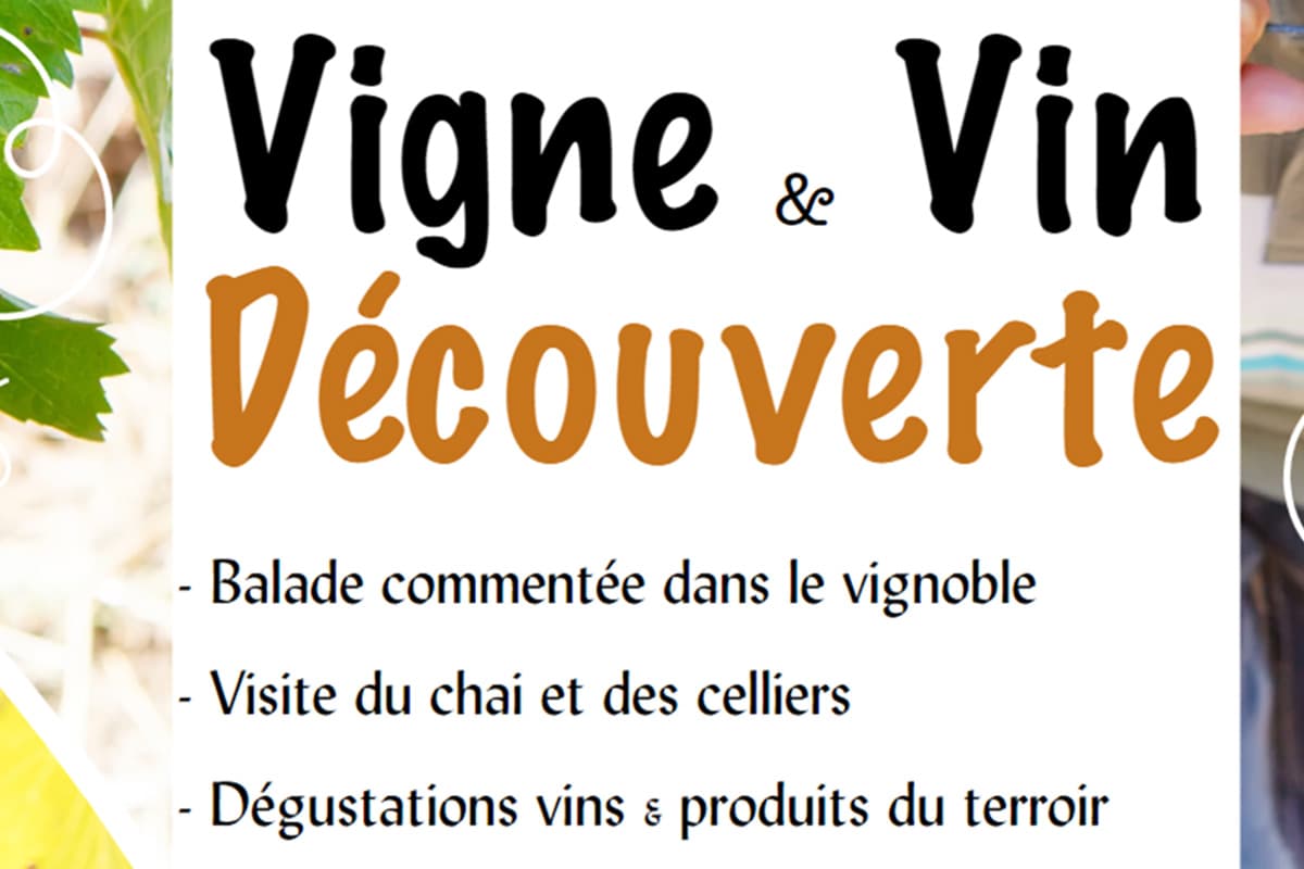 Illustration de l'événement : Vigne & vin découverte | Domaine du Siorac