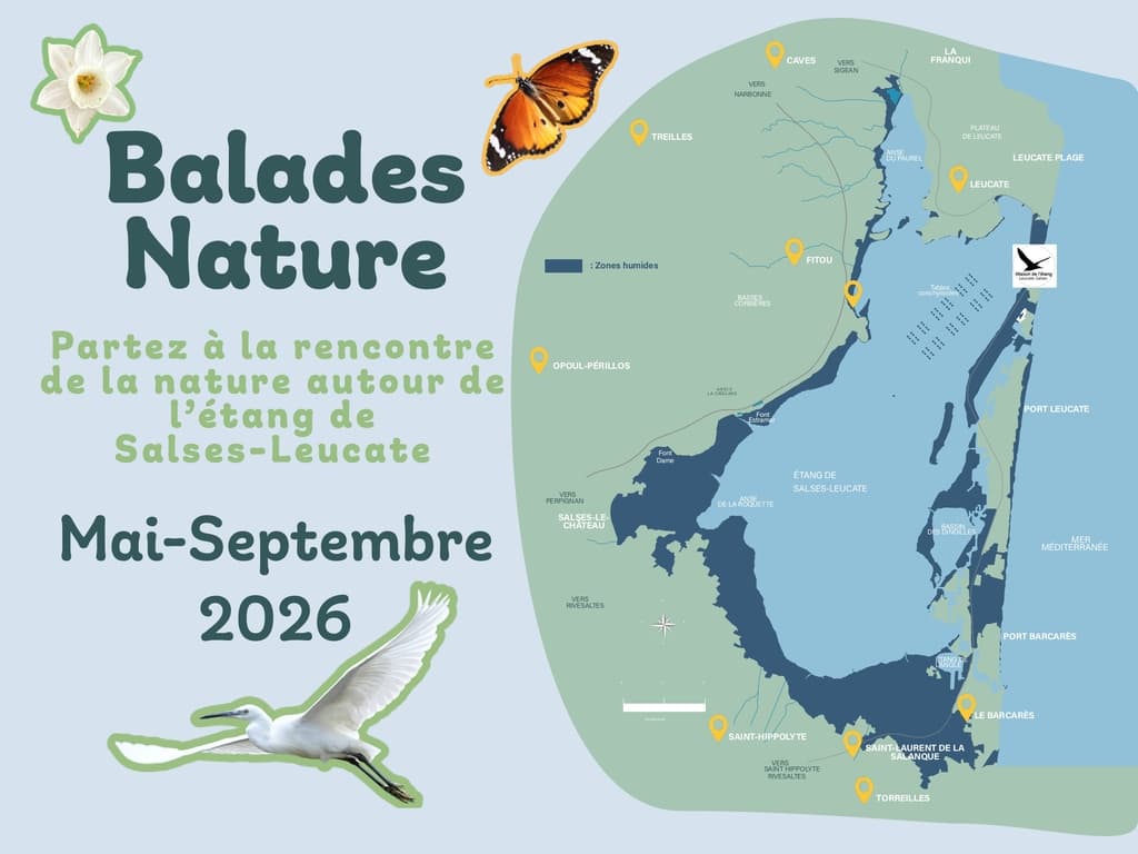 Illustration de l'événement : BALADES NATURE