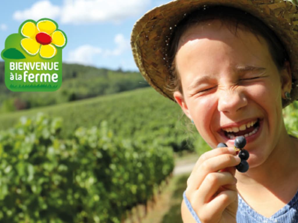 Illustration de l'événement : FERMES EN FÊTE AUX SAVEURS PAYSANNES