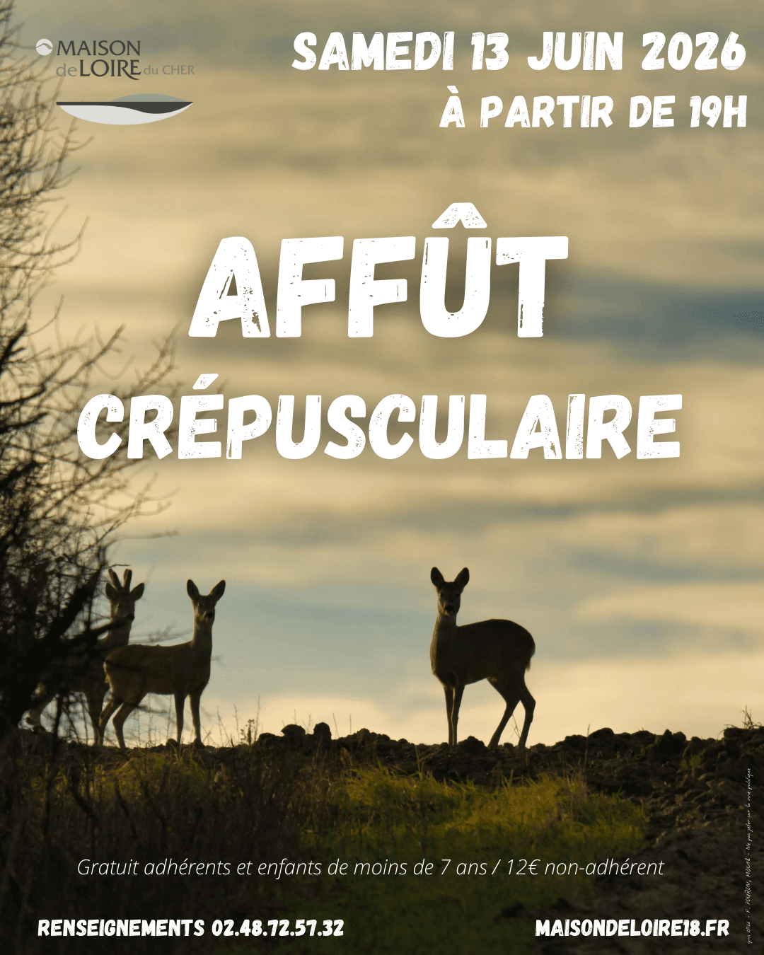 Illustration de l'événement : Sortie "Affût crépusculaire"