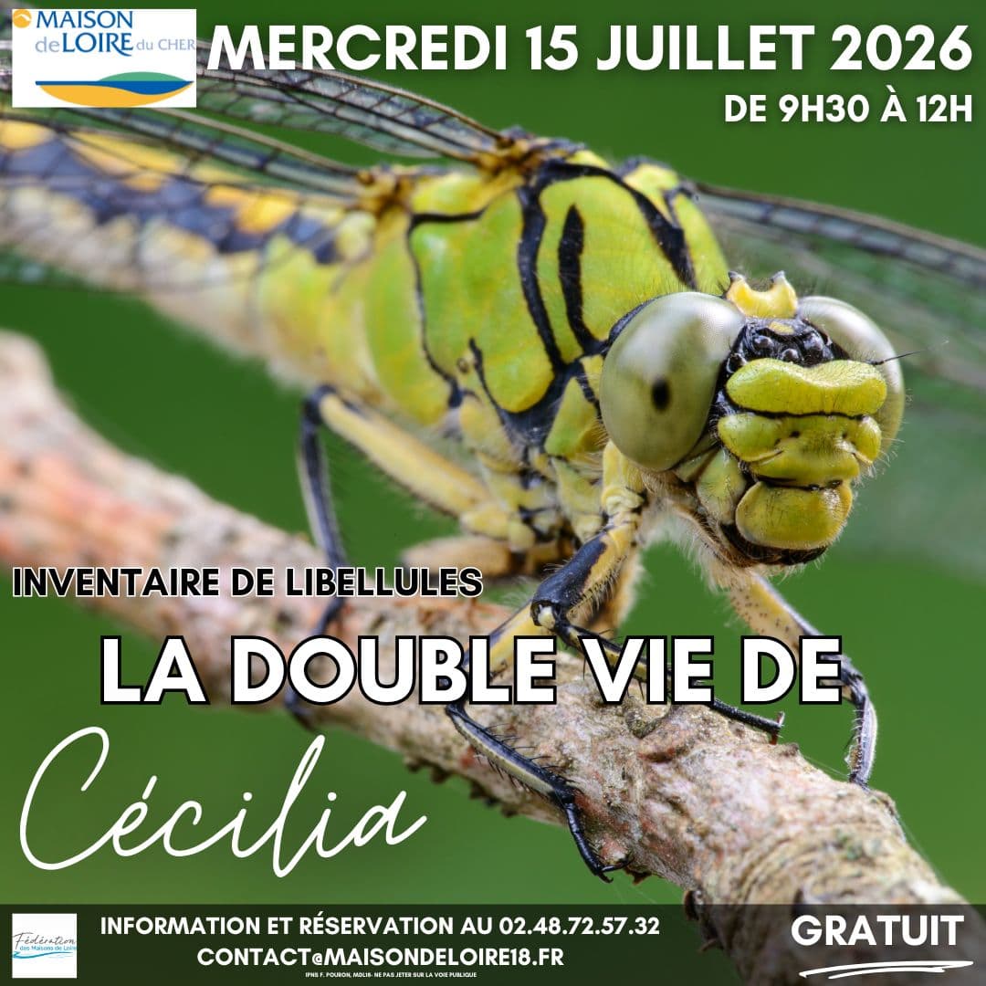 Illustration de l'événement : La double vie de Cécilia : découverte et inventaire des libellules
