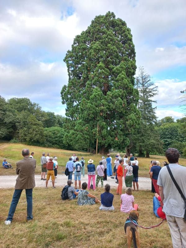 Illustration de l'événement : RDV Aux Jardins 2026 - Visite éclair du parc du château du mortier à Monnaie