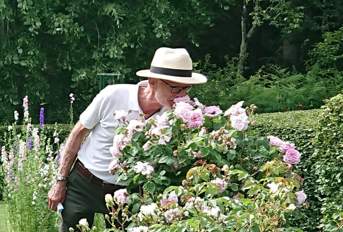Illustration de l'événement : Les Roses anciennes
