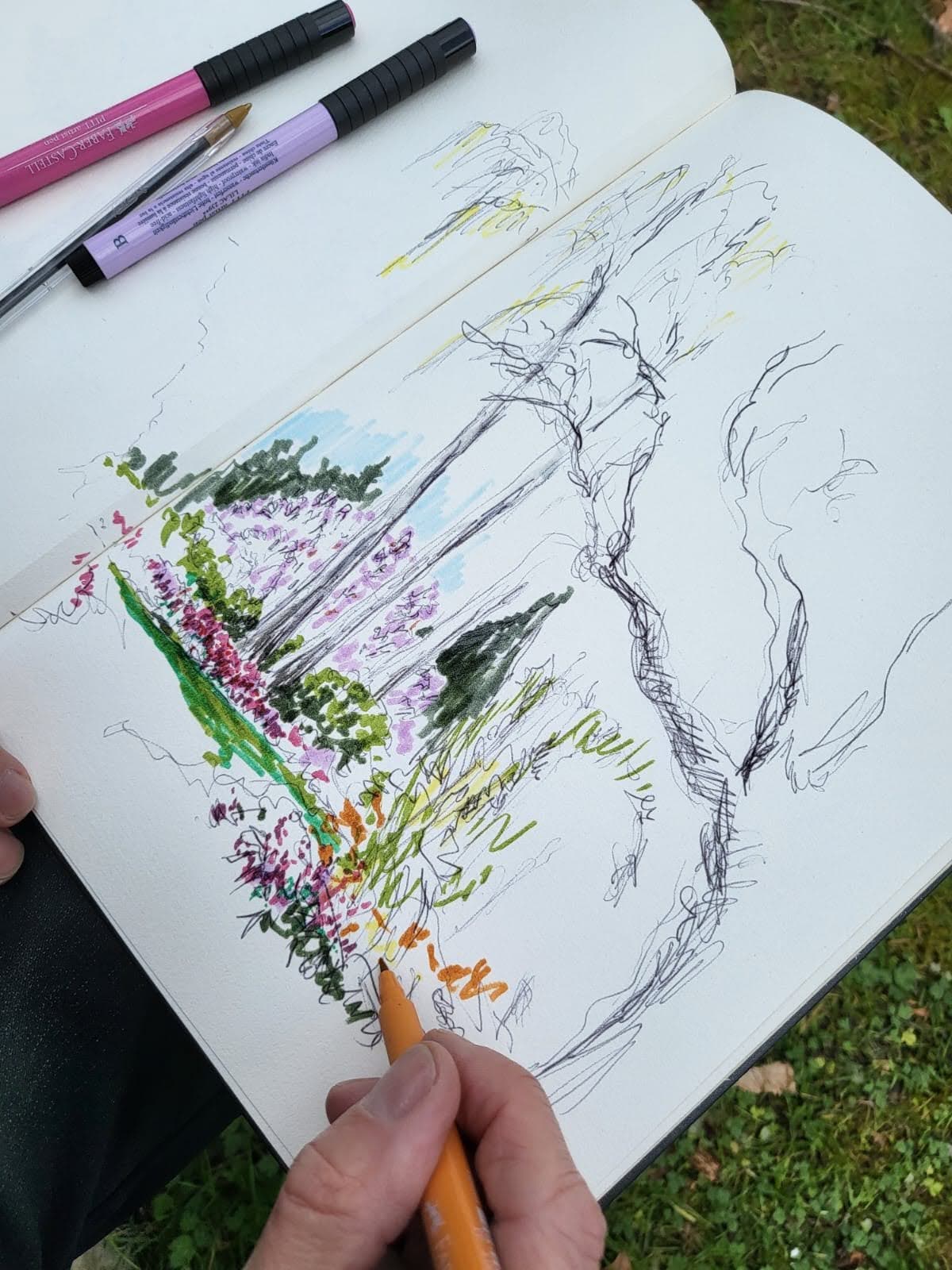Illustration de l'événement : Sillages Botaniques