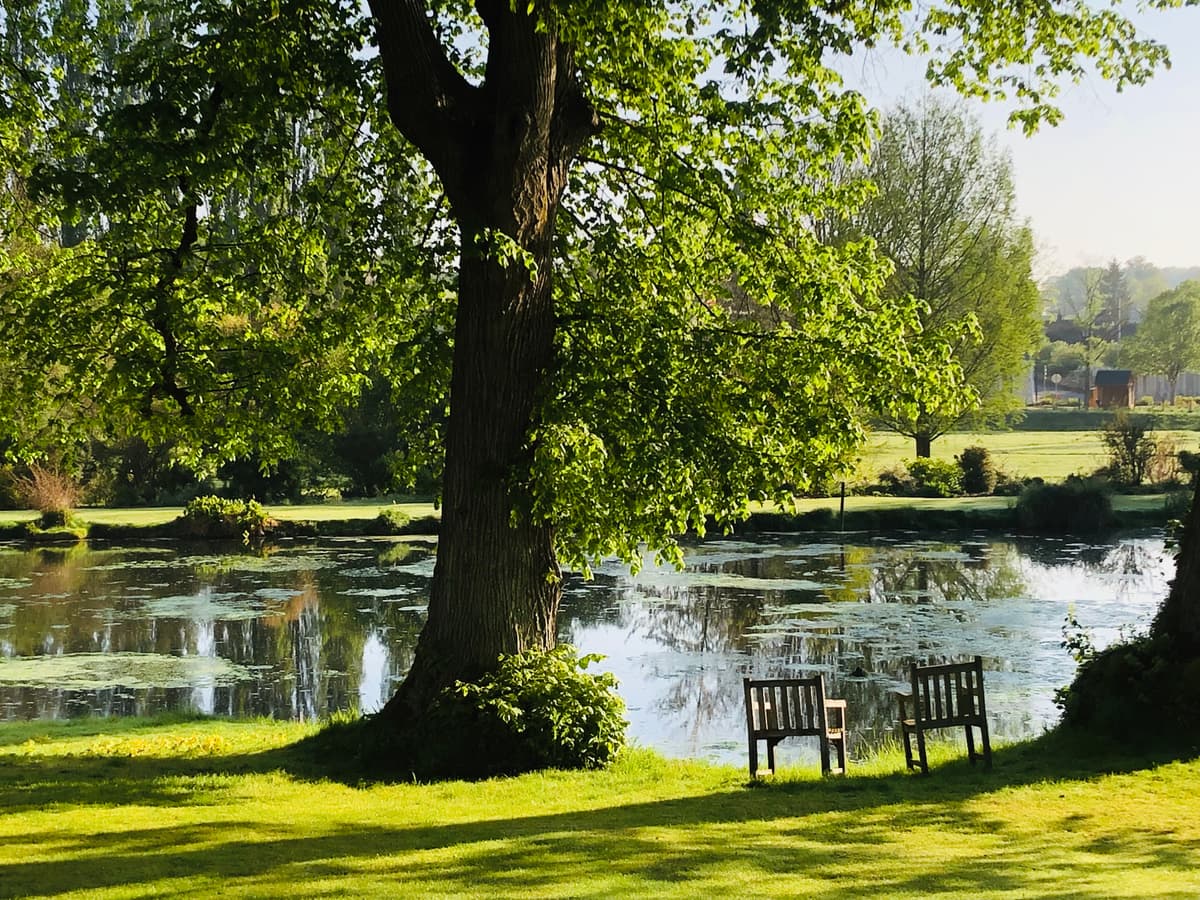 Illustration de l'événement : Rendez-vous aux jardins du Plessis-Sasnières