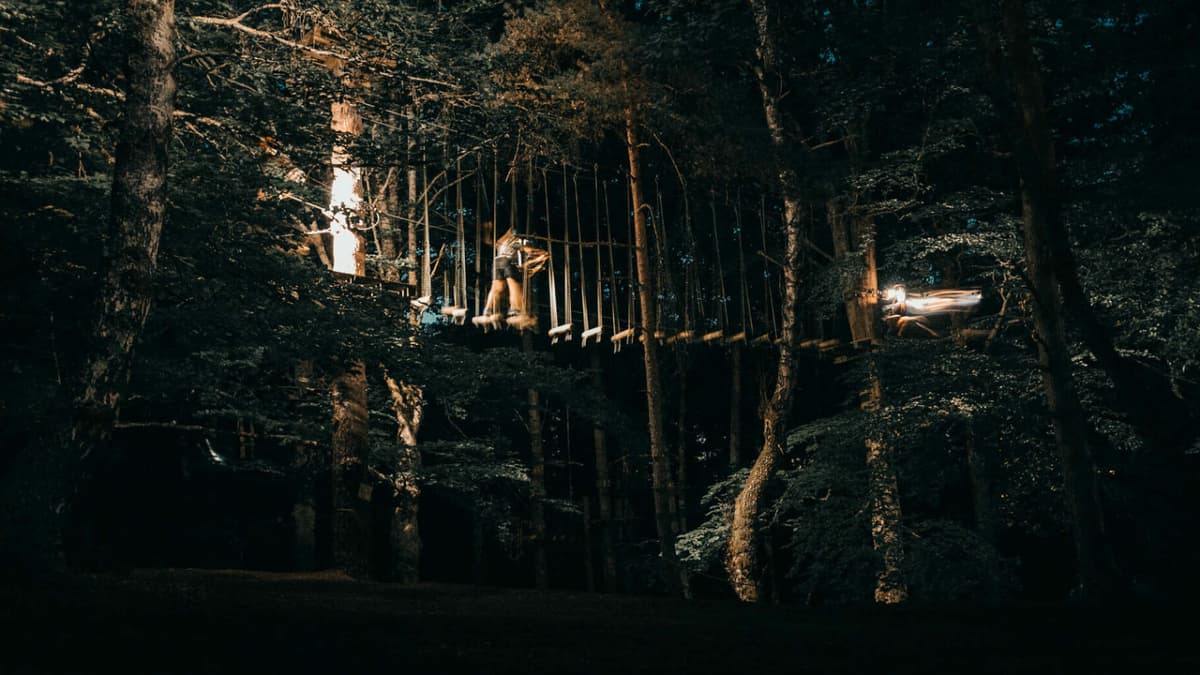 Illustration de l'événement : Soirées Accrobranche Nocturne - Etang de la Vallée