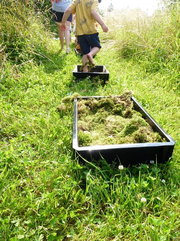 Illustration de l'événement : Atelier nature pour les moins de 3 ans : Les tout-petits en sortie