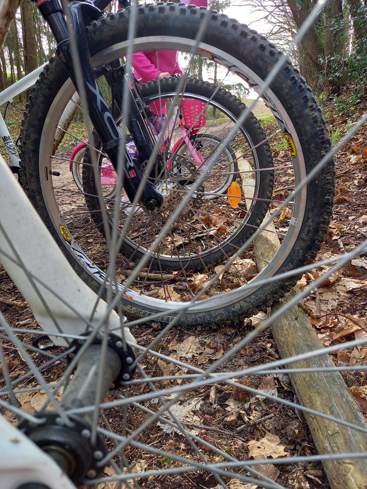 Illustration de l'événement : Balade vélo gourmande à Montoire-sur-le Loir
