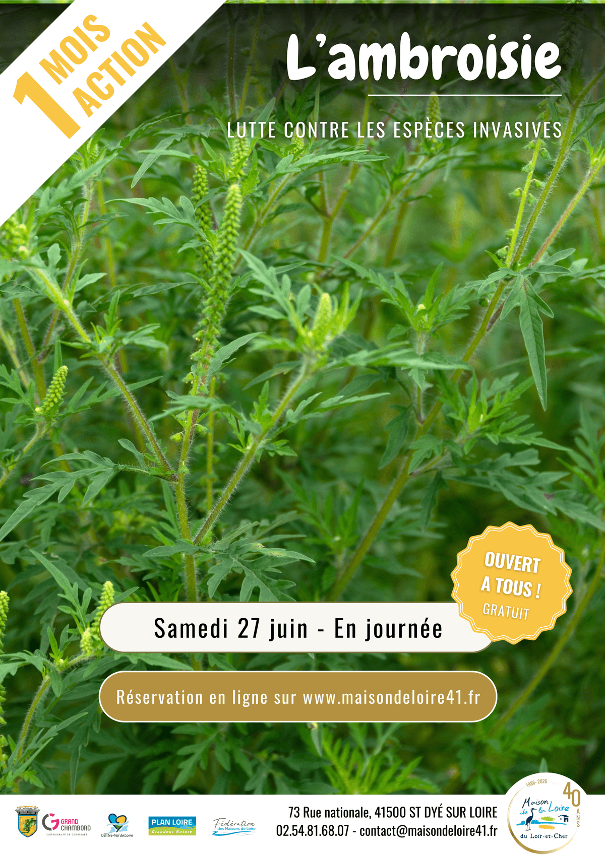 Illustration de l'événement : Juin Un Mois Une Action Lutte contre les espèces invasives - Ambroisie avec la Maison de la Loire