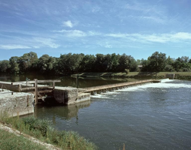 Illustration de l'événement : Jour de Cher 2026 - Visite éclair des bords du Cher à Chisseaux