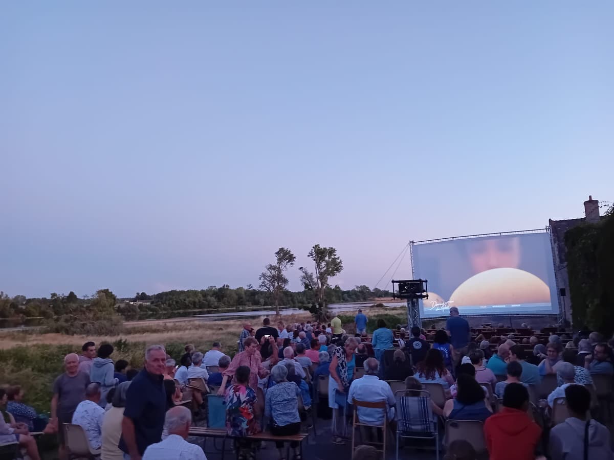 Illustration de l'événement : Cinéma en plein-air à Cour-sur-Loire