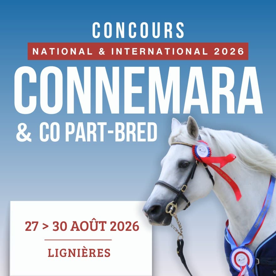 Illustration de l'événement : Concours National et International Connemara 2026
