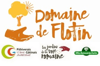 Illustration de l'événement : Festival Jardin d’étoiles