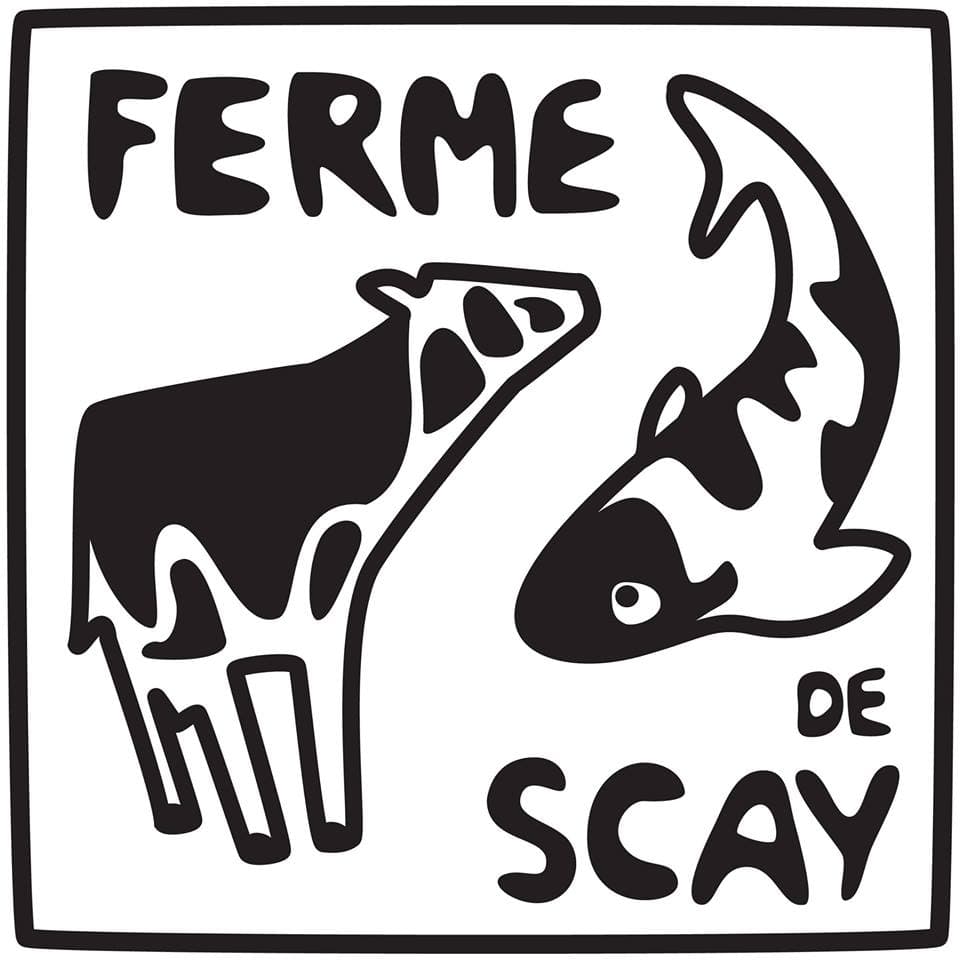 Illustration de l'événement : Vente de viande bovine et viande de veau de lait