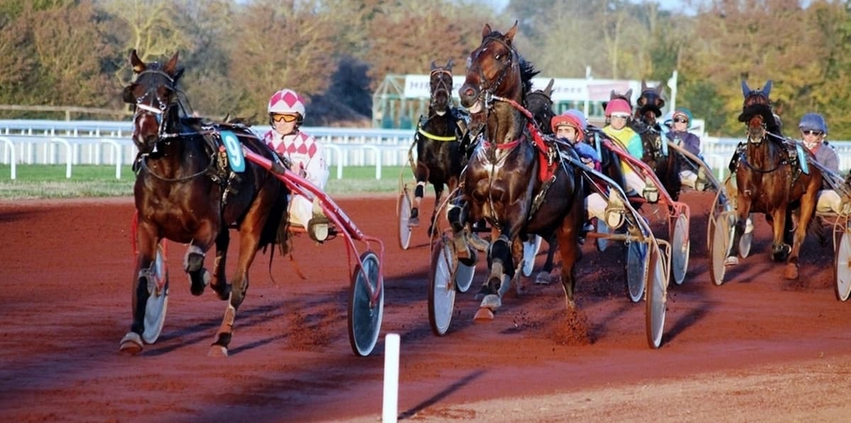 Illustration de l'événement : Courses hippiques - réunion de Trot