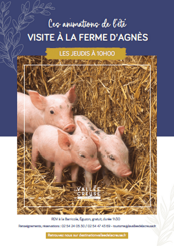 Illustration de l'événement : Visite à la ferme d'Agnès