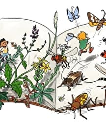 Illustration de l'événement : LitterNature
