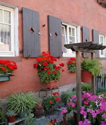 Illustration de l'événement : Visite : MA CITÉ EST UN JARDIN : LE STOCKFELD