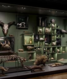 Illustration de l'événement : (Re)découverte du musée