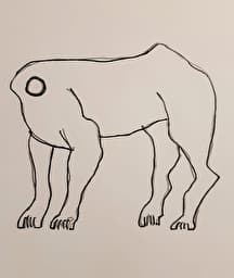 Illustration de l'événement : Ni queue ni tête