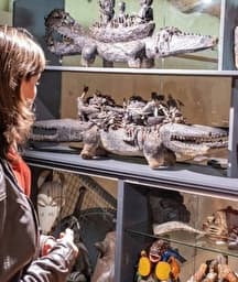 Illustration de l'événement : Visites guidées de l’exposition temporaire et des réserves