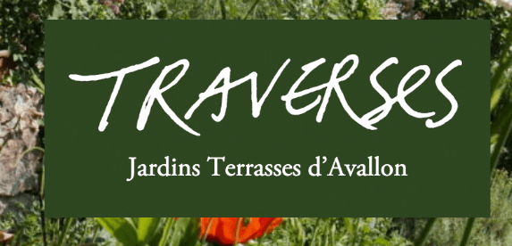 Illustration de l'événement : Visite jardins terrasses - Le petit peuple des mares