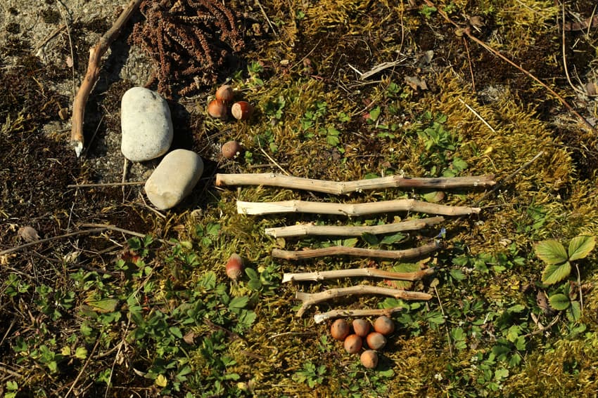 Illustration de l'événement : Atelier Land Art en famille